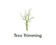 Chattanooga Tree Trimming